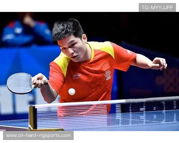 西安乒乓球队区域防守策略分析与比赛表现评估